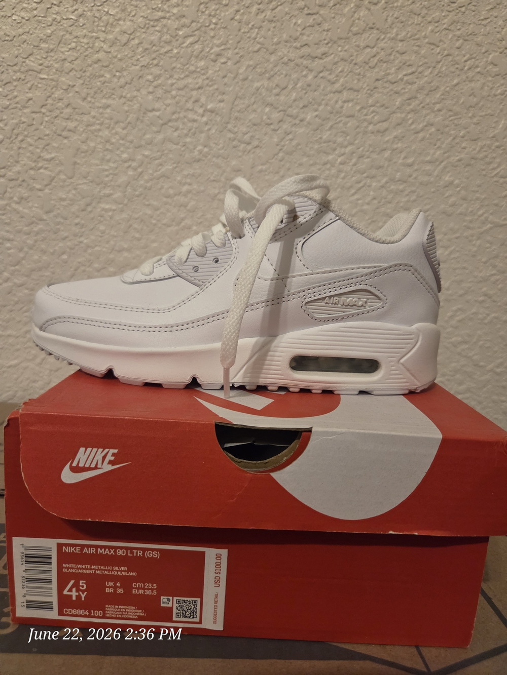 Nike Kids Air Max 90 LTR - White